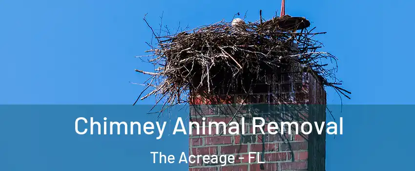  Chimney Animal Removal The Acreage - FL