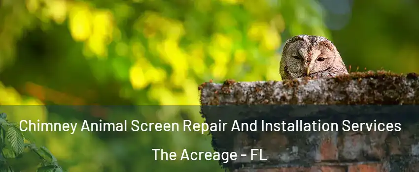  Chimney Animal Screen Repair And Installation Services The Acreage - FL