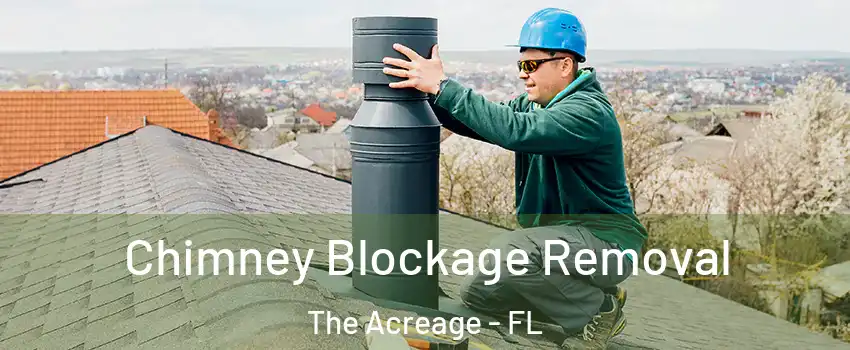  Chimney Blockage Removal The Acreage - FL