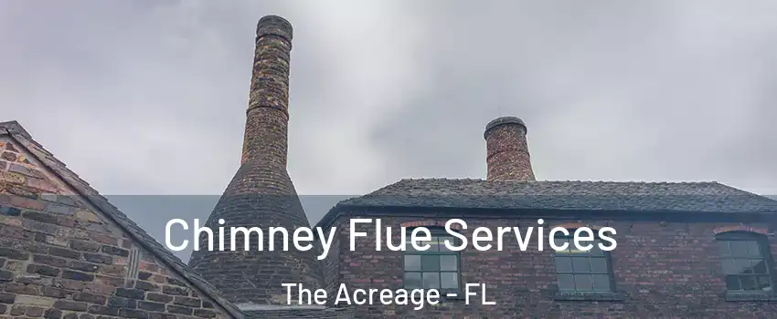  Chimney Flue Services The Acreage - FL