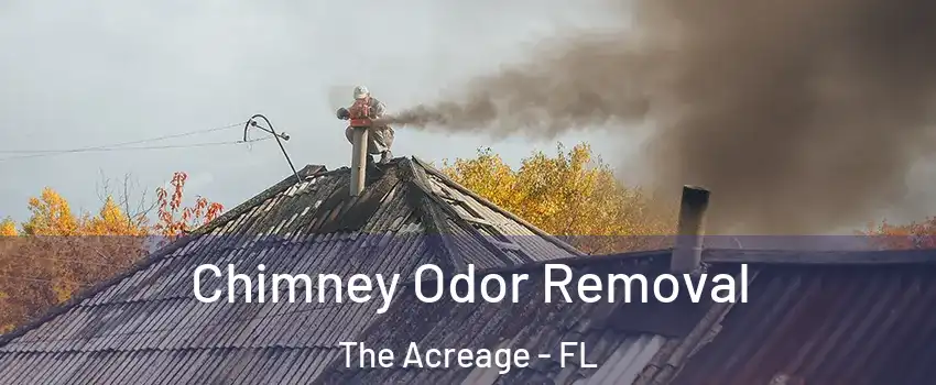  Chimney Odor Removal The Acreage - FL