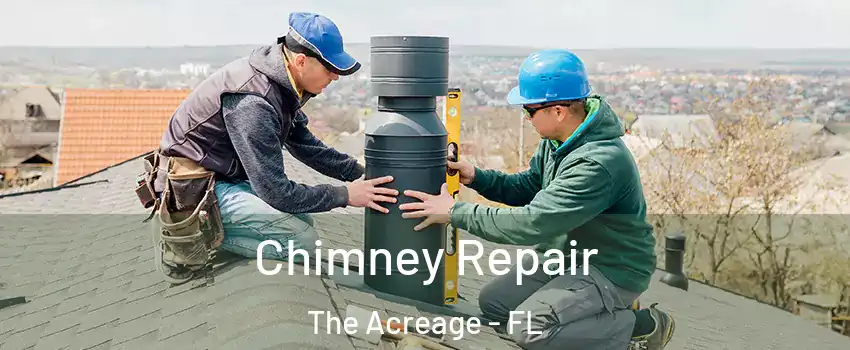  Chimney Repair The Acreage - FL