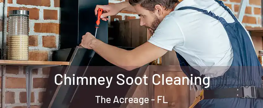  Chimney Soot Cleaning The Acreage - FL