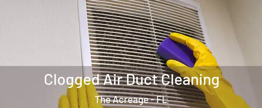  Clogged Air Duct Cleaning The Acreage - FL