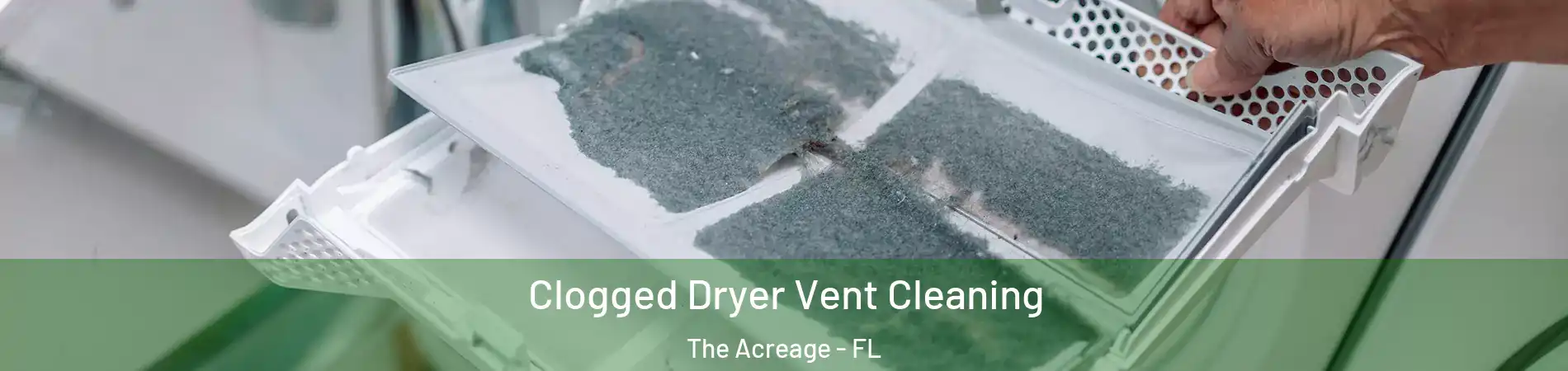 Clogged Dryer Vent Cleaning The Acreage - FL