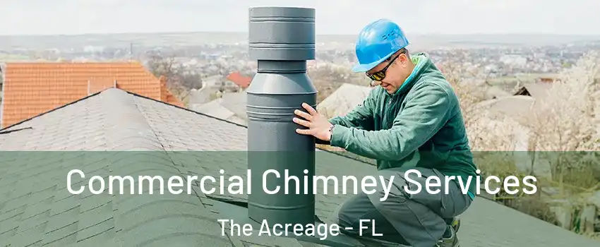  Commercial Chimney Services The Acreage - FL