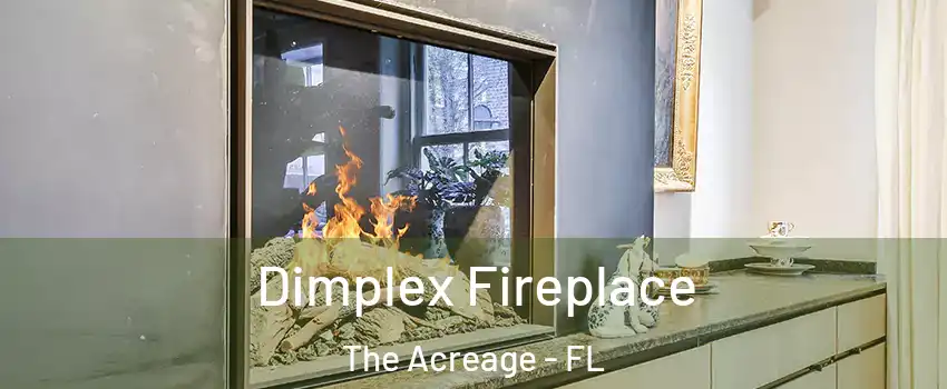  Dimplex Fireplace The Acreage - FL