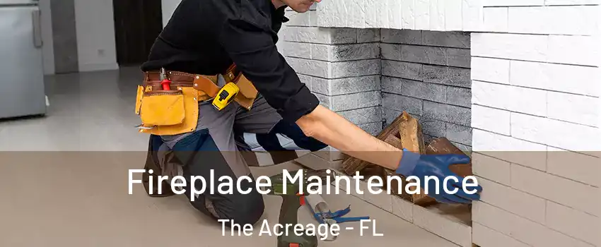  Fireplace Maintenance The Acreage - FL