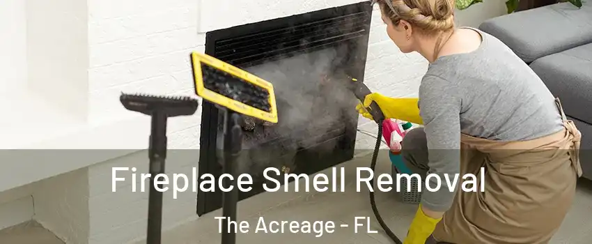  Fireplace Smell Removal The Acreage - FL