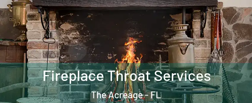  Fireplace Throat Services The Acreage - FL