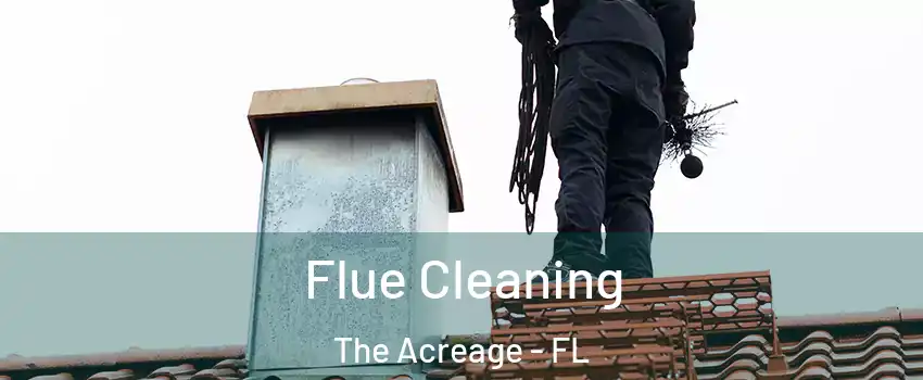  Flue Cleaning The Acreage - FL