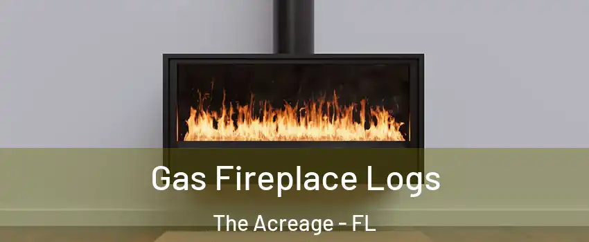  Gas Fireplace Logs The Acreage - FL