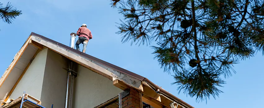 Birds Removal Contractors from Chimney in The Acreage, FL