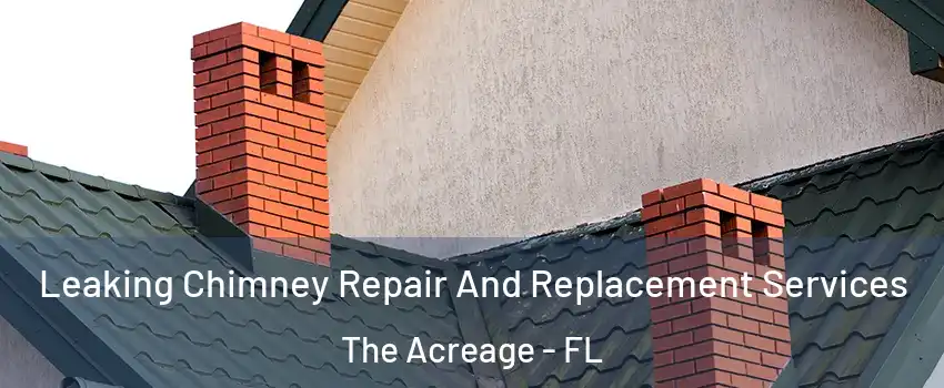  Leaking Chimney Repair And Replacement Services The Acreage - FL