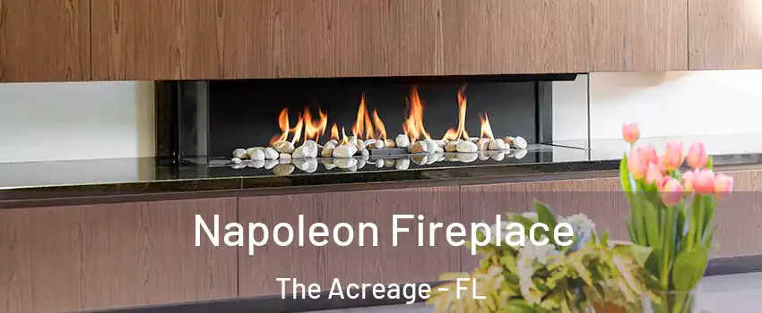  Napoleon Fireplace The Acreage - FL